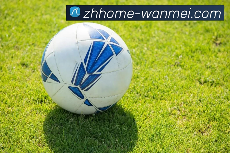 完美体育投注平台APP 高清赛事图